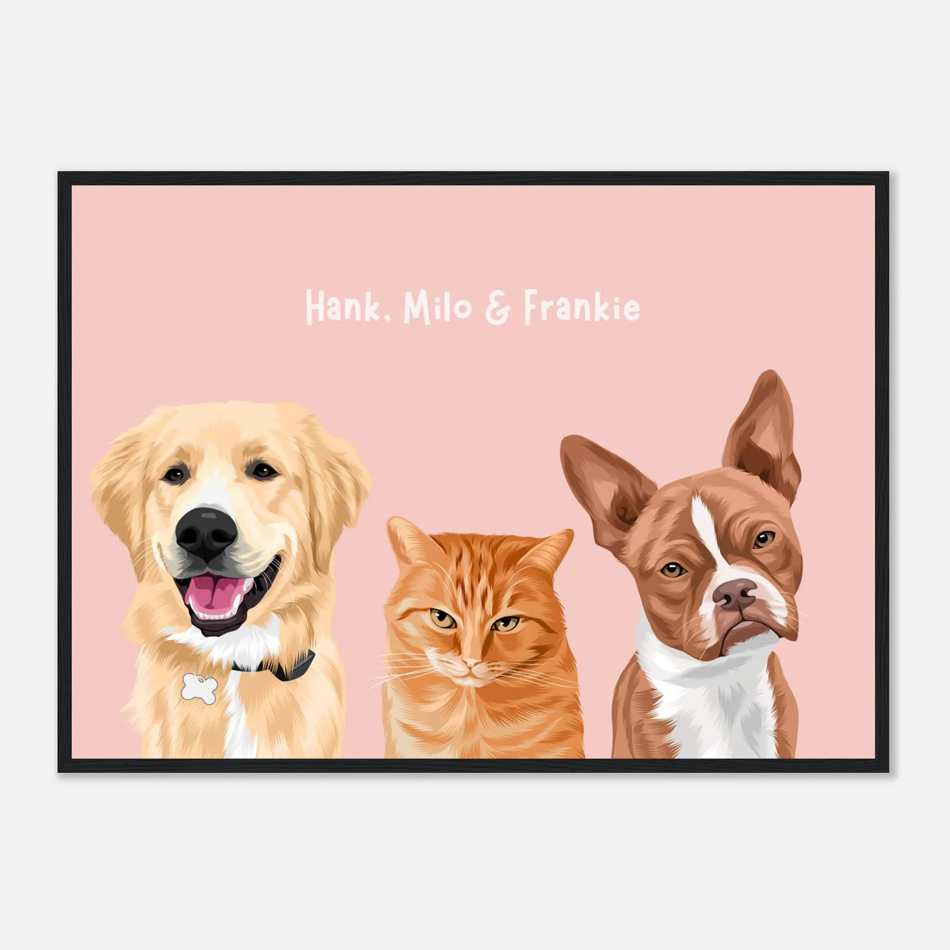 Three Pet Portrait